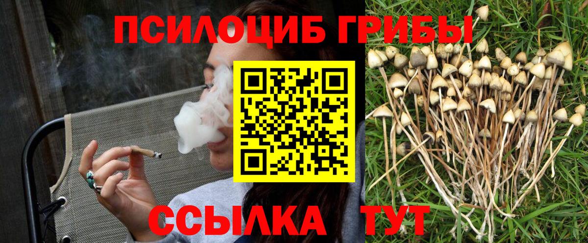 Галлюциногенные грибы GOLDEN TEACHER  Вход с VPN  Домодедово 