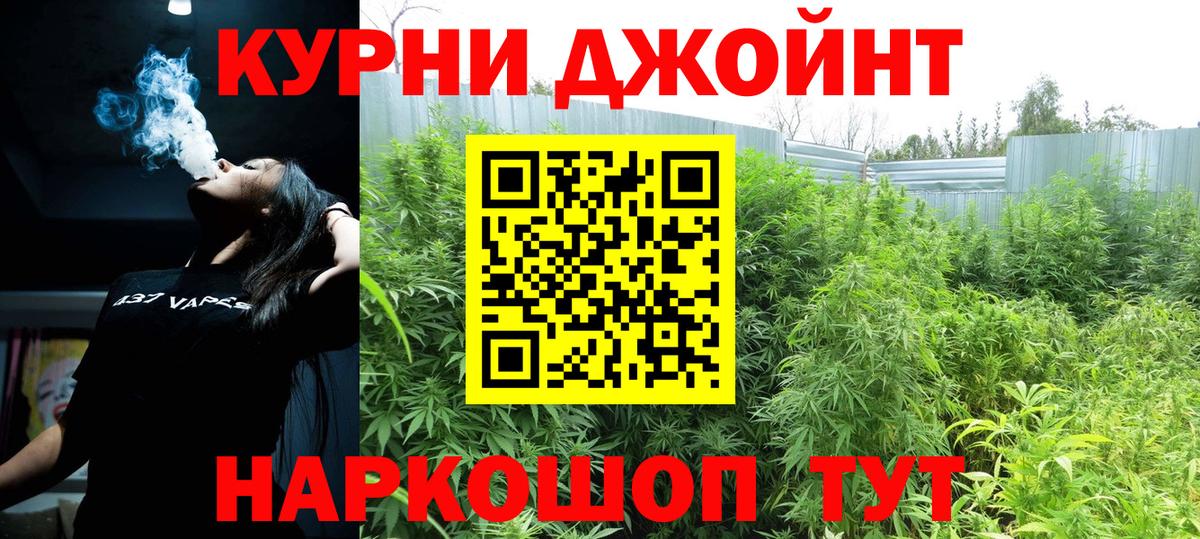 Канабис план Домодедово